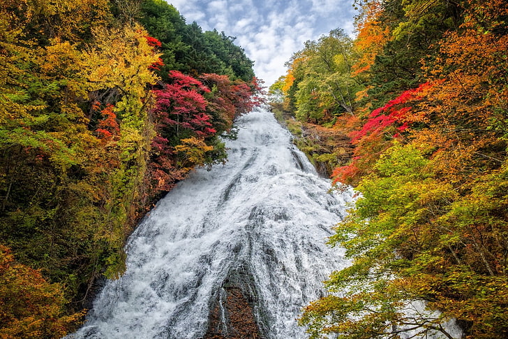 Cachoeiras, Cachoeira, Outono, Folhagem, Floresta, Japão, Natureza, Árvore, HD papel de parede