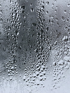 embun air pada gelas, tetes, kaca, permukaan, Wallpaper HD HD wallpaper