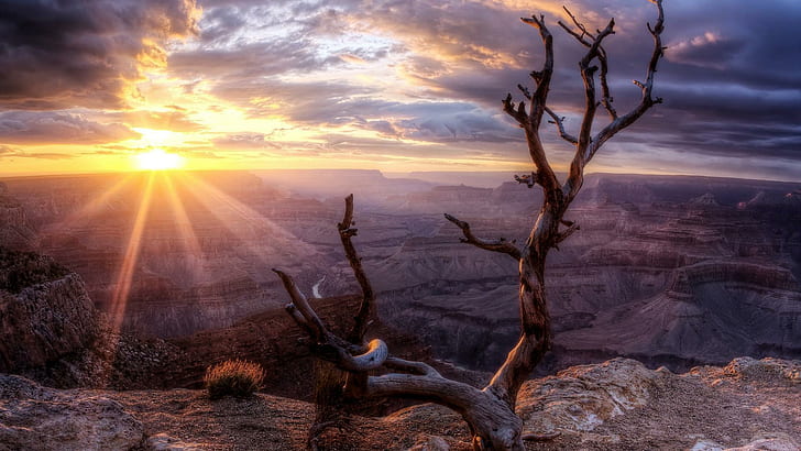Amazing Sunrise Over Canyon Hdr, dead tree, canyon, sunrise, clouds, nature and landscapes, HD wallpaper