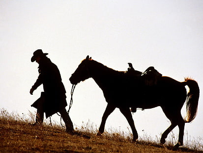 cavallo, cowboy, animali, Sfondo HD HD wallpaper