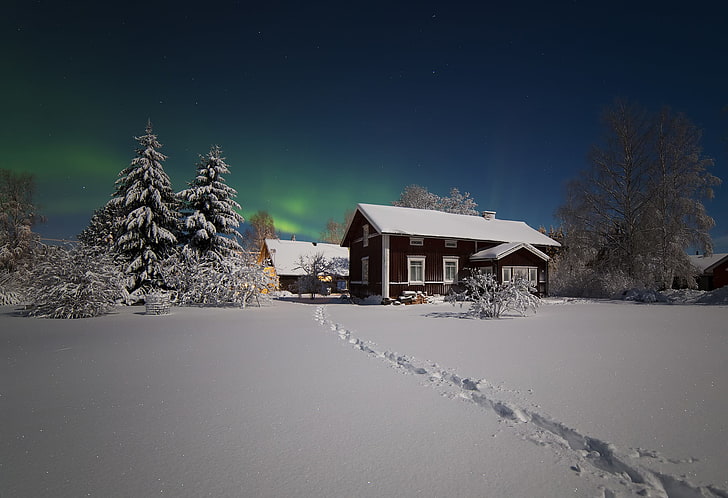коричневый и белый дом, северное сияние, зима, снег, домик, деревья, HD обои