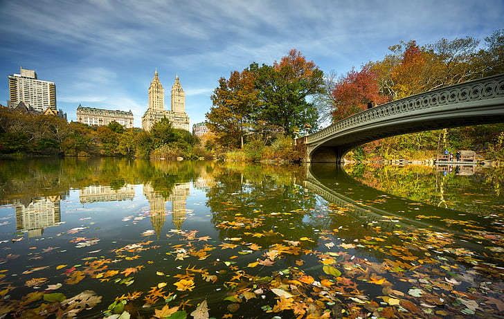 bridge, river, New York, NYC, Central Park, Bow Bridge, HD wallpaper
