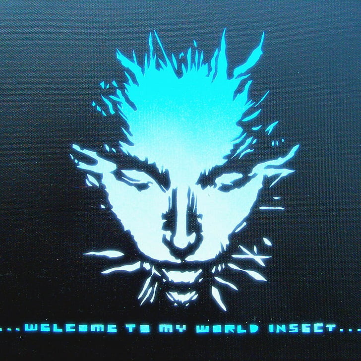 face, quote, Shodan, System Shock 2, HD wallpaper