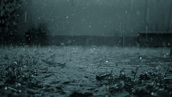 Rainy Days, water, nature, rain, 3d and abstract, HD wallpaper HD wallpaper