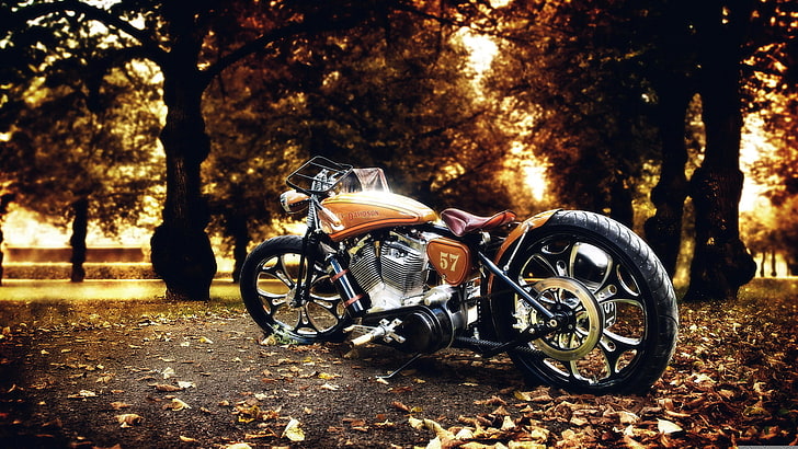 autumn, leaves, trees, nature, Park, photo, bike, Harley Davidson, HD wallpaper