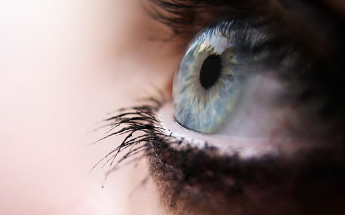 personens öga, ögon, makro, blå ögon, ögonfransar, HD tapet HD wallpaper