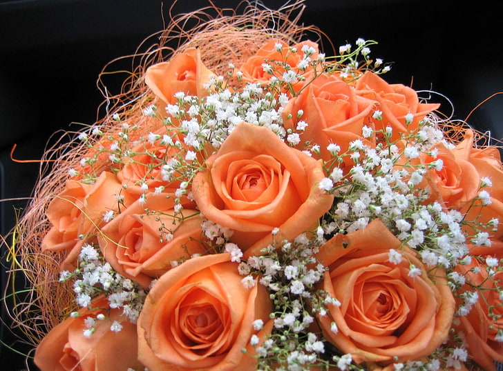 bouquet of orange roses, roses, flowers, babys breath, bouquet, tenderness, design, HD wallpaper