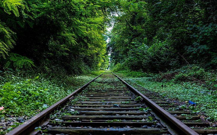 ساحة السكك الحديدية والأشجار والطبيعة والسكك الحديدية، خلفية HD