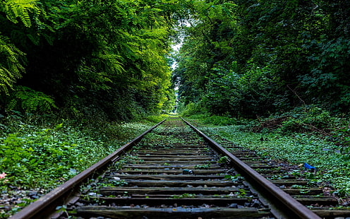 ساحة السكك الحديدية والأشجار والطبيعة والسكك الحديدية، خلفية HD HD wallpaper
