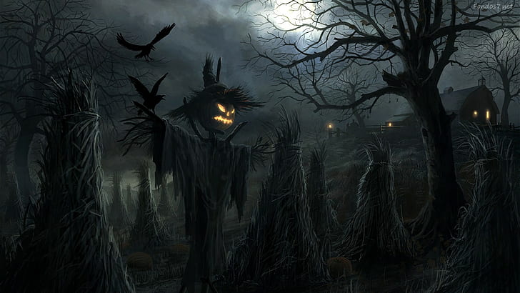 Kürbislaterne, Halloween, HD-Hintergrundbild