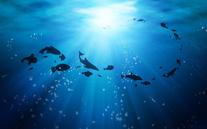 Vie océan haute résolution, silhouette de poissons, poissons, haute, vie, océan, résolution, Fond d'écran HD