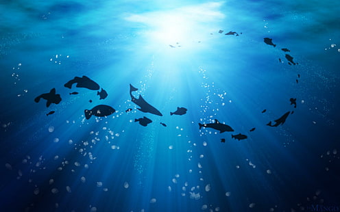 Life Ocean High Resolution, силует на риби, риби, висока, живот, океан, резолюция, HD тапет HD wallpaper