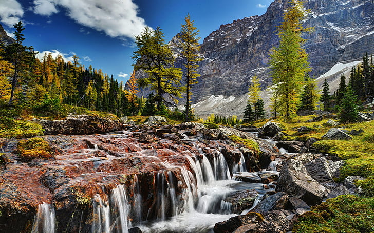 مناظر طبيعية جميلة جبل نهر الصخور Rocky Mountain Pine Shua Yoho National Park Canada Download Wallpaper HD 2560 × 1600، خلفية HD
