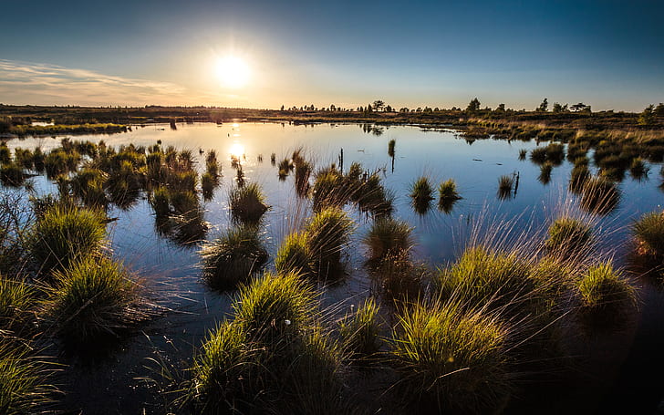 Sunset Sunlight Pond Grass HD, природа, залез, слънчева светлина, трева, езерце, HD тапет