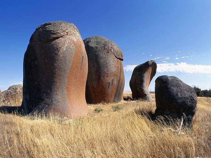 four black and brown stones, australia, stones, field, grass, HD wallpaper