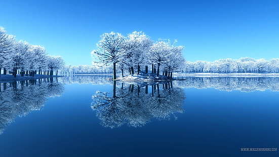 지구 반사 바탕 화면 자연보기 겨울 호수 하얀 숲 물 HD, 자연, 지구, 호수, 자연보기, 물 반사, 하얀 숲, 겨울 호수, HD 배경 화면 HD wallpaper