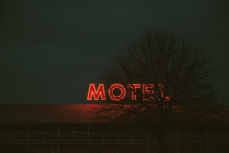 albero appassito, iscrizione, illuminazione, cartello, notte, motel, Sfondo HD HD wallpaper