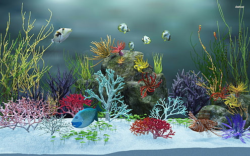 Аквариум с рыбками, движущиеся, аквариум, 1920x1200, HD обои HD wallpaper
