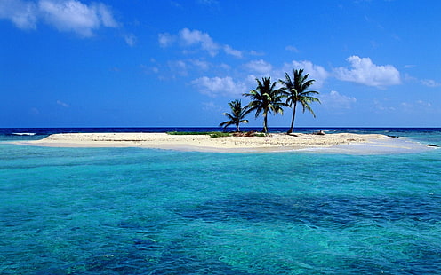 azul océano playa árboles mar animales ventanas xp skyscapes 1920x1200 Naturaleza Playas HD Art, Azul, océano, Fondo de pantalla HD HD wallpaper