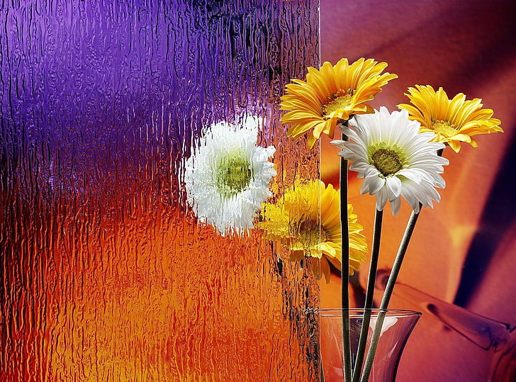 sunflower and daisy flowers, gerbera, flower, vase, glass, HD wallpaper