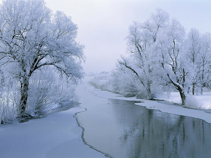 الشتاء والأشجار والنهر والثلج والجليد والمناظر الطبيعية، خلفية HD