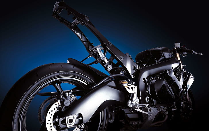 Suzuki GSX R1000 Rücken, Rücken, Suzuki, R1000, Fahrräder und Motorräder, HD-Hintergrundbild