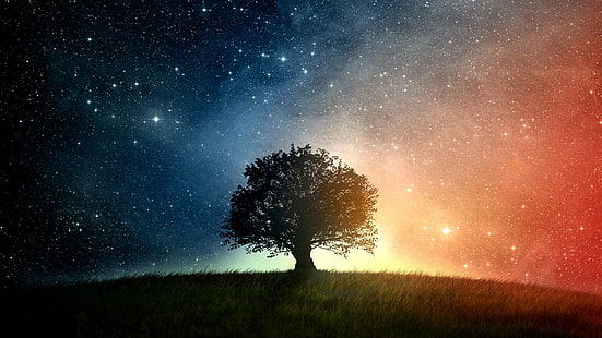 Universum, Gras, Sternenhimmel, Sterne, Feld, Stern, Astronomie, Landschaft, Natur, Dunkelheit, Himmel, Raum, einsamer Baum, Sternennacht, Sternenhimmel, Nacht, Baum, Atmosphäre, einsamer Baum, HD-Hintergrundbild HD wallpaper