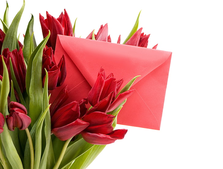 letter, romance, red, March 8, beautiful, Spring, the envelope, lovely, bouquet, Tulips, HD wallpaper