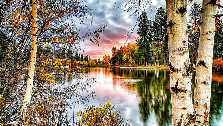 lake, mood, lakeside, calm, branch, cloudy, sky, pond, plant, reflection, bayou, birch, wetland, autumn, leaf, tree, water, nature, HD wallpaper