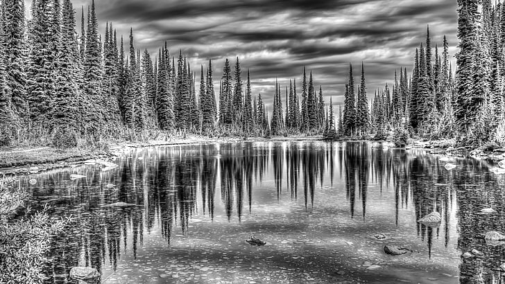reflection, balsam lake, national park, mount revelstoke national park, british columbia, canada, bc, revelstoke, hdr, sky, lake, landscape, water, nature, photography, monochrome, black and white, monochrome photography, tree, forest, HD wallpaper