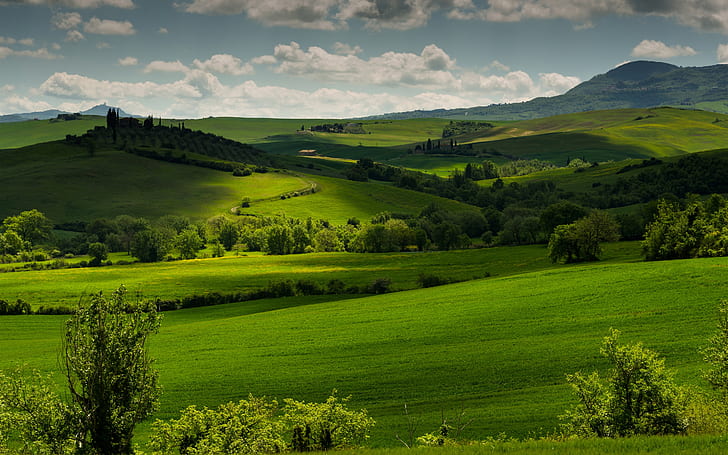 イタリア、トスカーナ、緑の野原、木、雲、夕暮れ、イタリア、トスカーナ、緑、野原、木、雲、夕暮れ、 HDデスクトップの壁紙