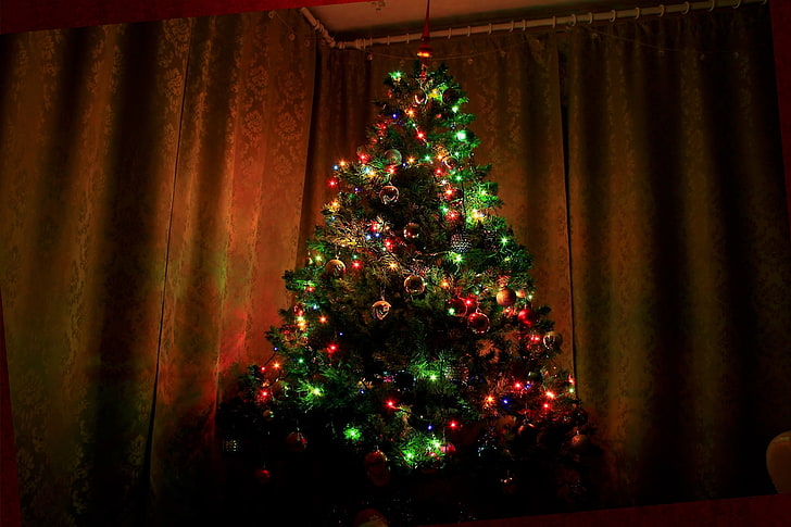 شجرة التنوب ، الكريسماس ، رأس السنة ، شجرة ، جديدة ، شجرة عيد الميلاد ، سعيد ، عام ، 2015 ، مرح ، متعرجة، خلفية HD