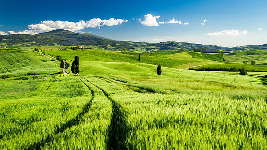Тоскана, Италия, зелени полета, пролет, Тоскана, Италия, зелени, полета, пролет, HD тапет HD wallpaper