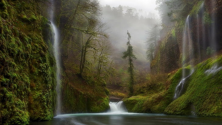 น้ำตกป่าต้นไม้แม่น้ำ HD ธรรมชาติต้นไม้ป่าแม่น้ำน้ำตก, วอลล์เปเปอร์ HD