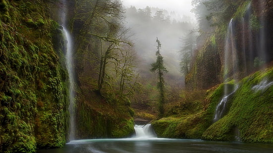 น้ำตกป่าต้นไม้แม่น้ำ HD ธรรมชาติต้นไม้ป่าแม่น้ำน้ำตก, วอลล์เปเปอร์ HD HD wallpaper