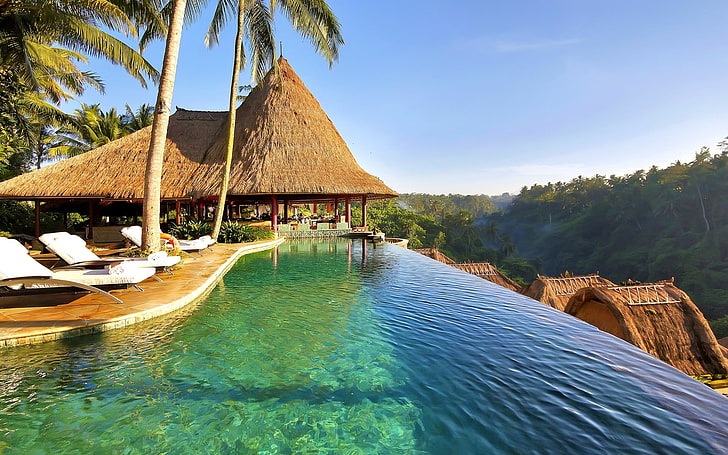 cabaña marrón, naturaleza, paisaje, piscina, palmeras, resort, bosque, agua, tropical, exótico, Fondo de pantalla HD