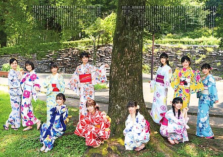坂 木 坂 46, Idol, HD-Hintergrundbild HD wallpaper