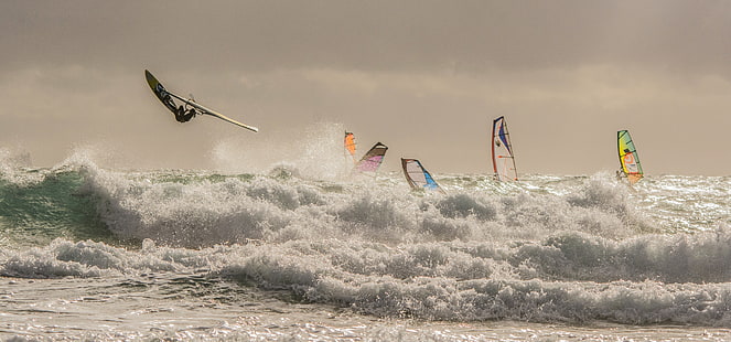 hav, våg, vind, segel, styrelse, regatta, vindsurfing, HD tapet HD wallpaper