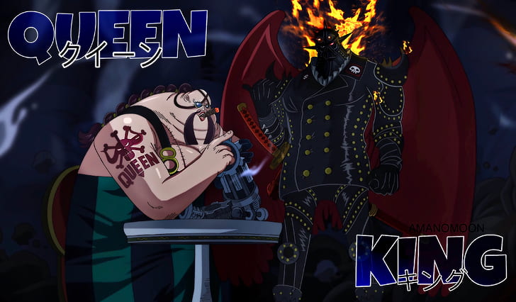 Anime, One Piece, King the Wildfire, Queen the Plague, Wallpaper HD |  Wallpaperbetter