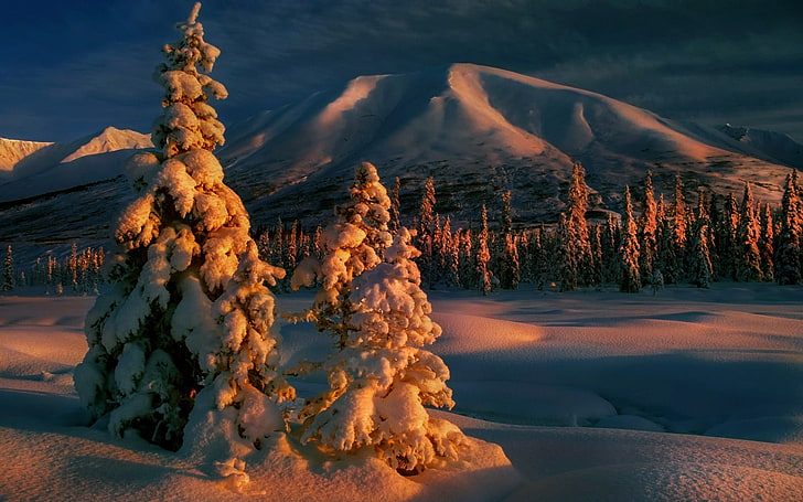 grüne Bäume, Winter, Wald, Natur, Landschaft, Berge, Bäume, Schnee, Wolken, Kälte, HD-Hintergrundbild