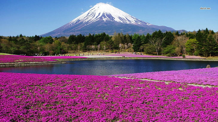 Mont Fuji, Fond d'écran HD
