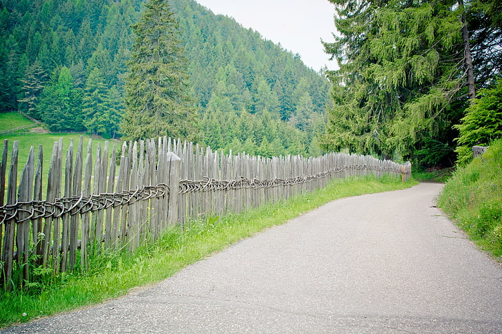 brown wooden fence, fence, road, trees, summer, HD wallpaper