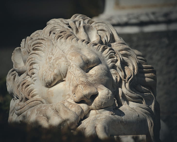 Скульптура льва статуи HD, цифровое / художественное произведение, лев, статуя, скульптура, HD обои