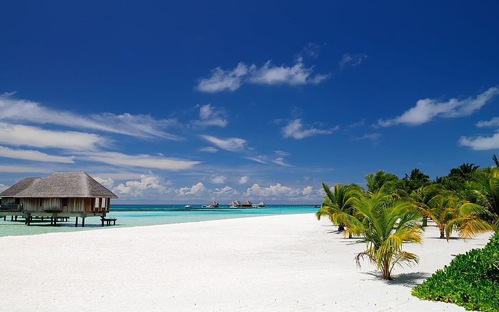 зеленые лиственные деревья, природа, пейзаж, пляж, Мальдивы, пальмы, песок, тропический, курорт, море, лето, бунгало, архитектура, остров, HD обои