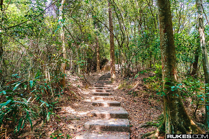 Rukes, fotografia, Hongkong, las, ścieżka, schody, Tapety HD