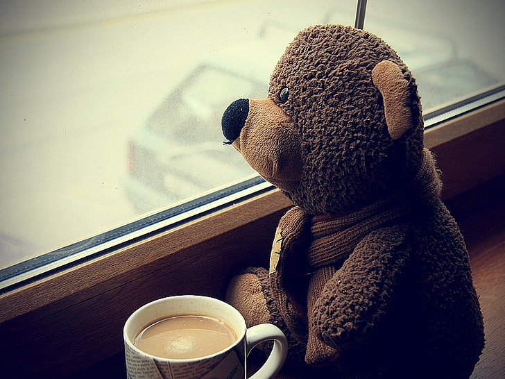 brown bear plush toy, teddy bear, toy, cup, coffee, window, expectations, mood, HD wallpaper