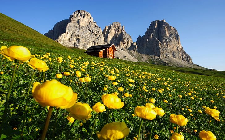 Dolomite Pale Mountains (monti Palides)  Trentino Italy Nature Landscape 2560×1600, HD wallpaper