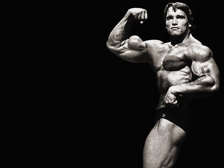 Arnold Schwarzenegger, uomini, Sfondo HD