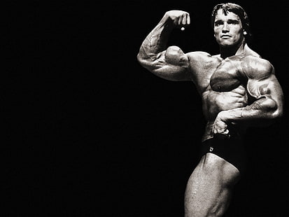 Arnold Schwarzenegger, men, HD wallpaper HD wallpaper