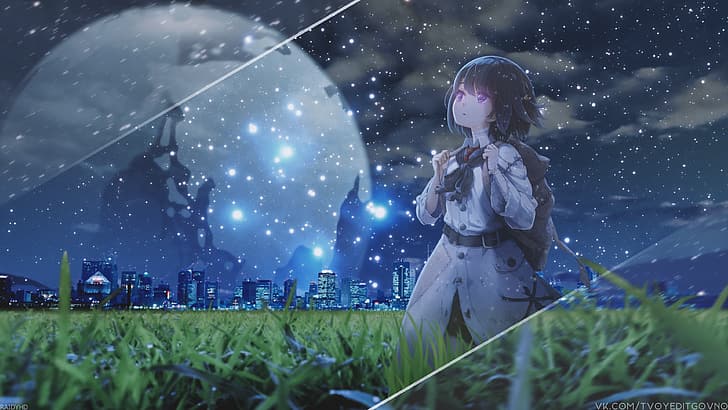 anime, anime girls, moonlight, night, field, HD wallpaper